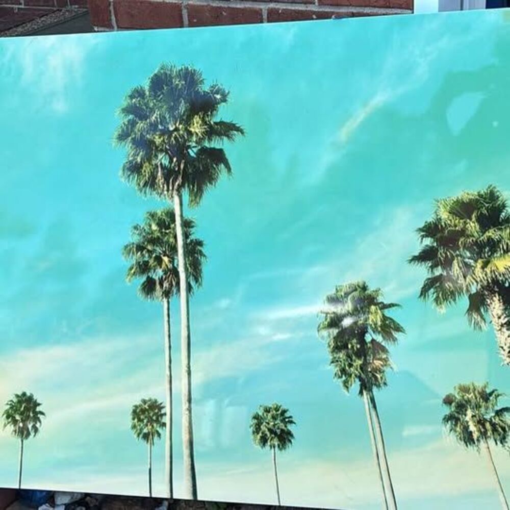 Extra large palm tree art